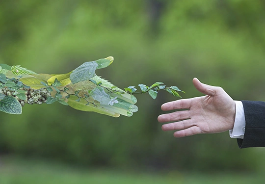 Rispetto dell’ambiente